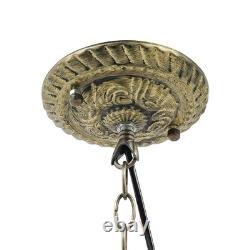 Retro Pendant Lamp Fixture Stained Glass Parrot Pendant Pight USA