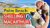 Shelling John D Macarthur Statepark Virtual Seashellhunting