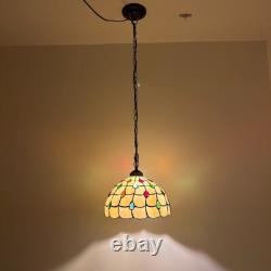 Tiffany Style Hanging Lighting Plug In Gold Stained Glass LED Bulb 12W12D60H