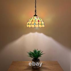 Tiffany Style Hanging Lighting Plug In Gold Stained Glass LED Bulb 12W12D60H