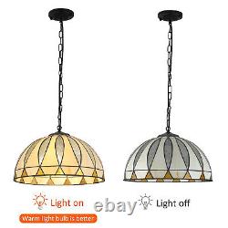 Vintage Stained Glass Pendant Lamp Tiffany Style Ceiling Fixture Hanging Lights